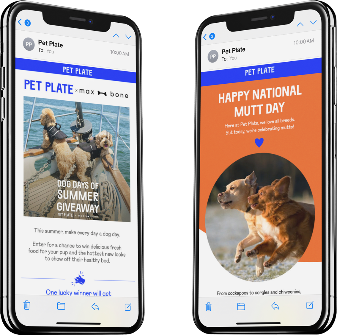 Pet Plate Email Marketing Mobile Campaign | Creatif Media Group